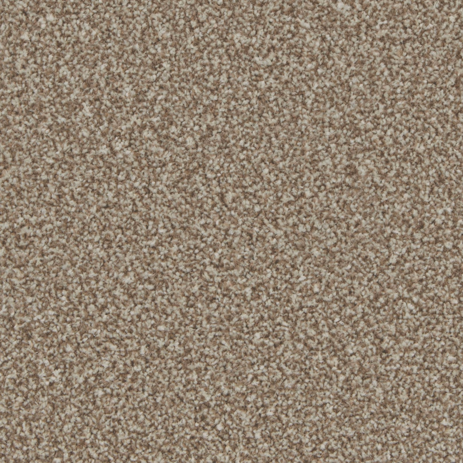 Warm taupe-beige carpet with dense flecked pile and subtle cream-brown variation