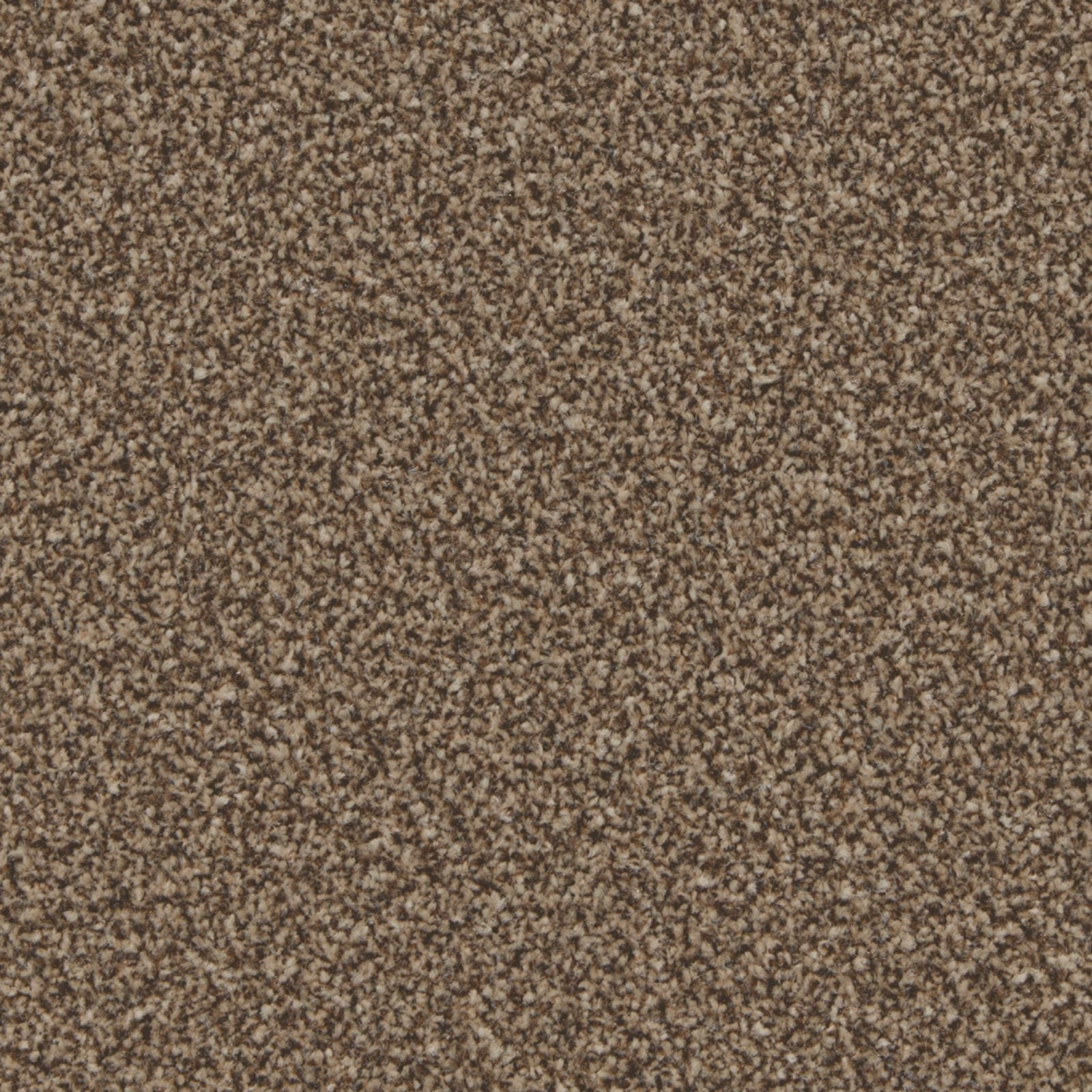 Warm mocha carpet with fine cream and dark brown flecks in a dense pile