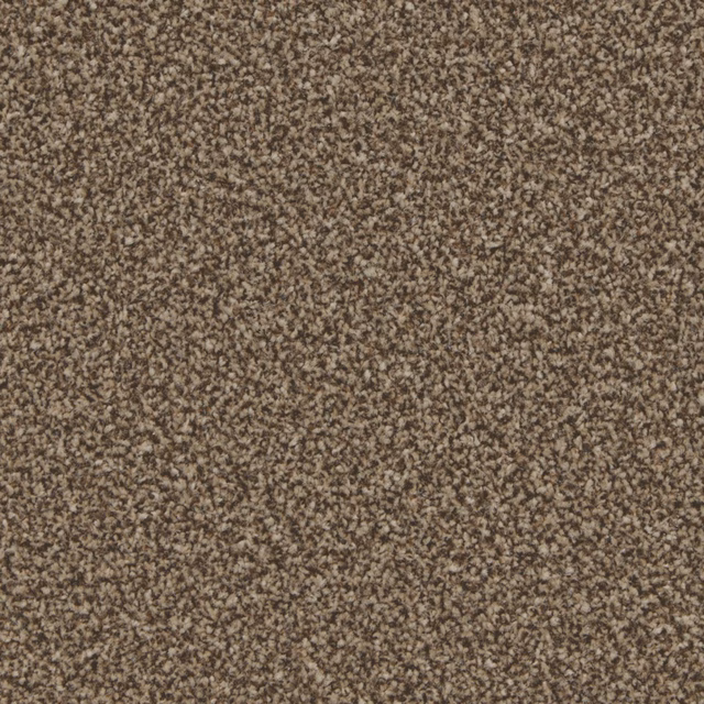 Warm mocha carpet with fine cream and dark brown flecks in a dense pile