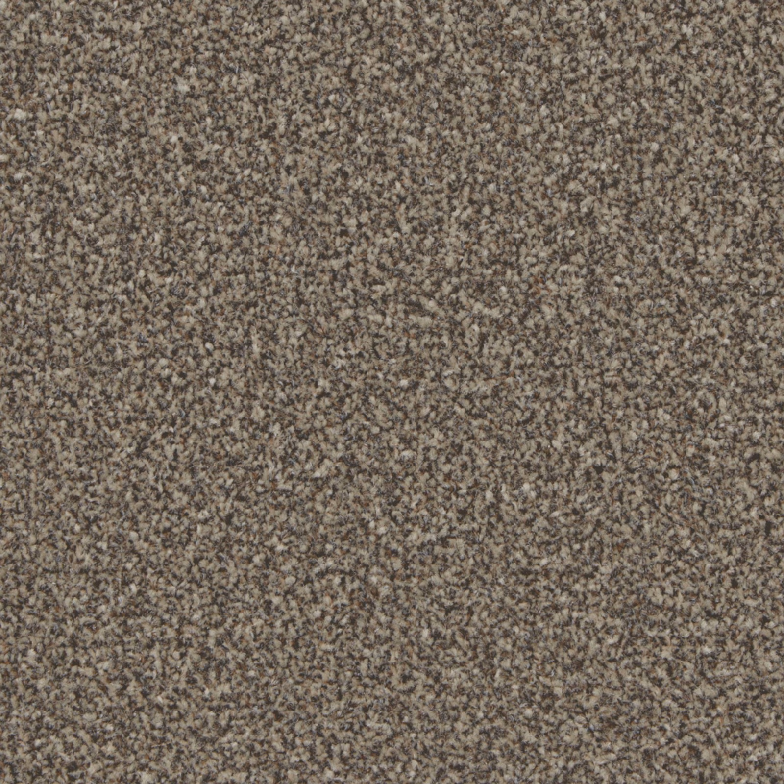 Dense Molasses taupe-brown carpet with fine grey and dark mottled flecks