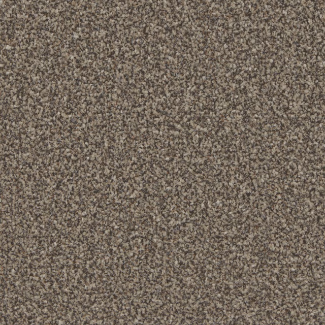 Dense Molasses taupe-brown carpet with fine grey and dark mottled flecks