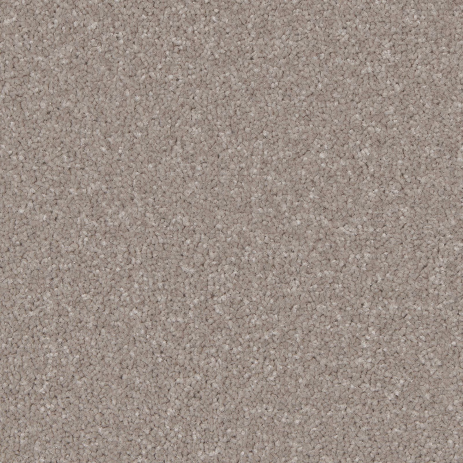 Mottled mushroom taupe carpet with a dense, softly textured short pile