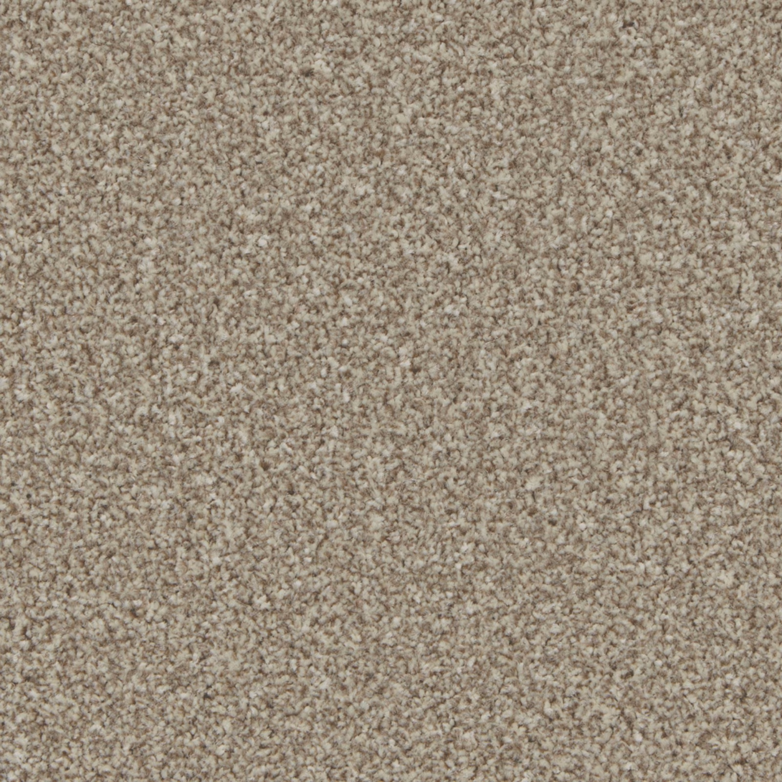 Warm beige-taupe carpet pile with tightly packed, softly mottled fibres