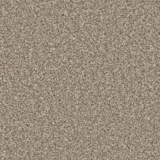 Warm beige-taupe carpet pile with tightly packed, softly mottled fibres