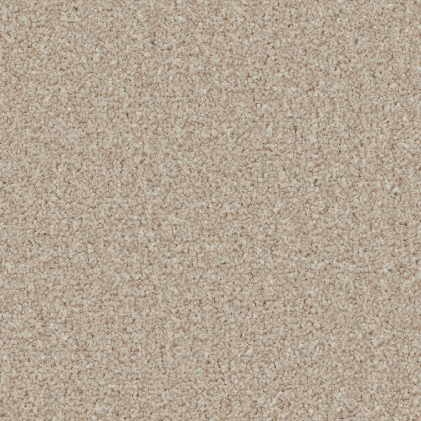 Warm oatmeal-beige carpet swatch showing a dense, softly flecked textured pile