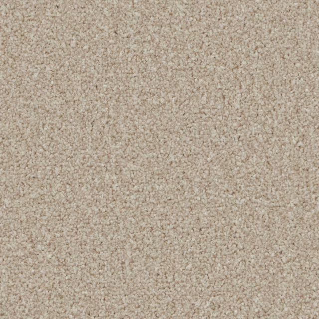 Warm oatmeal-beige carpet swatch showing a dense, softly flecked textured pile