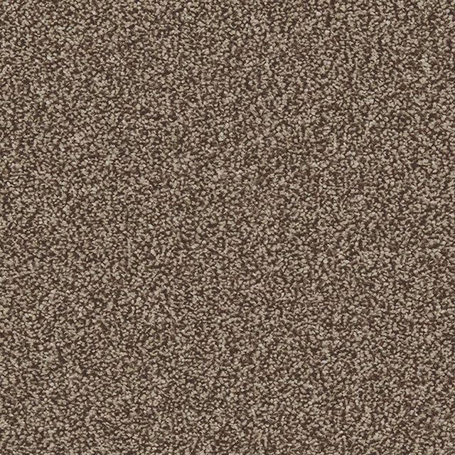 Warm brown-taupe carpet with dense fine flecks and softly mottled texture
