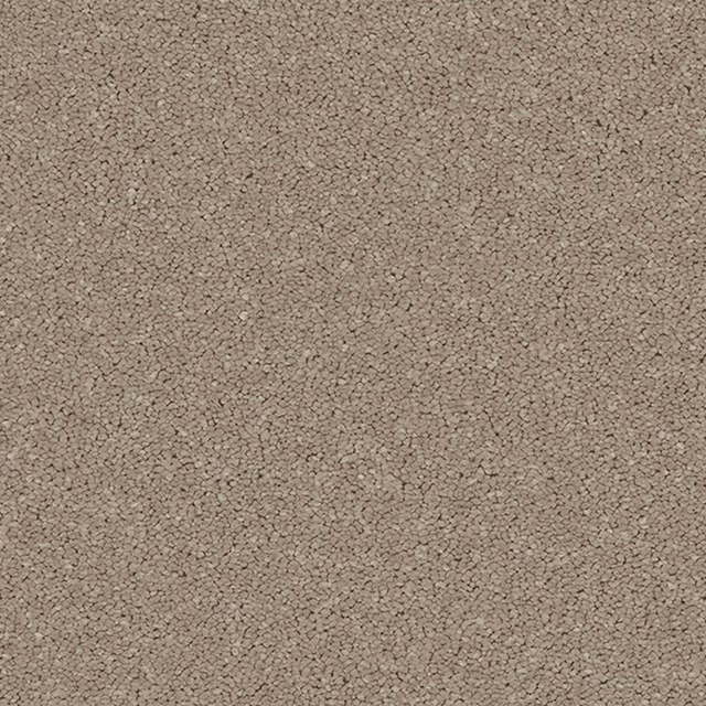 Warm cappuccino taupe carpet with dense tiny loops and softly mottled texture