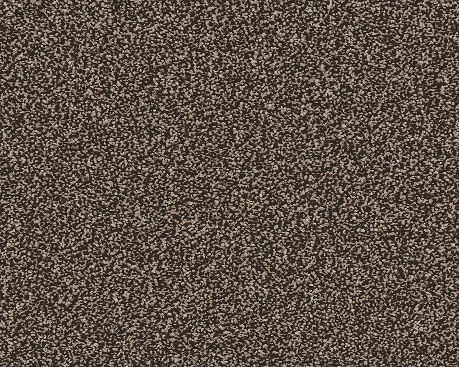 Dense dark clove-brown carpet with fine pale flecks and a softly mottled texture