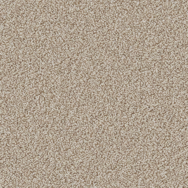 Warm stone-beige carpet with dense cream-and-taupe looped texture