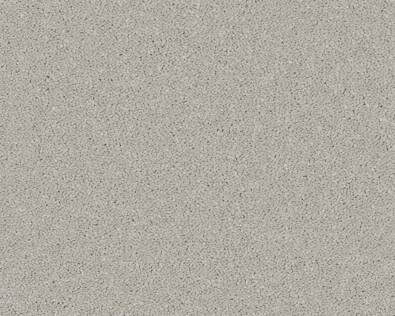 Pale warm-greige carpet with dense tiny looped texture and subtle darker flecks