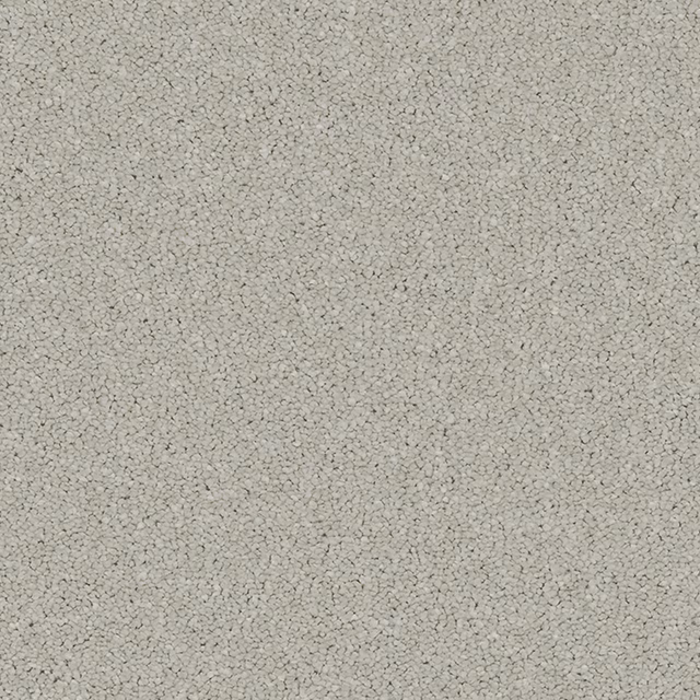 Pale warm-greige carpet with dense tiny looped texture and subtle darker flecks