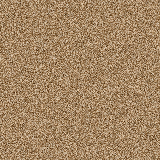 Warm sandy beige carpet with dense nubby pile and subtle darker flecks