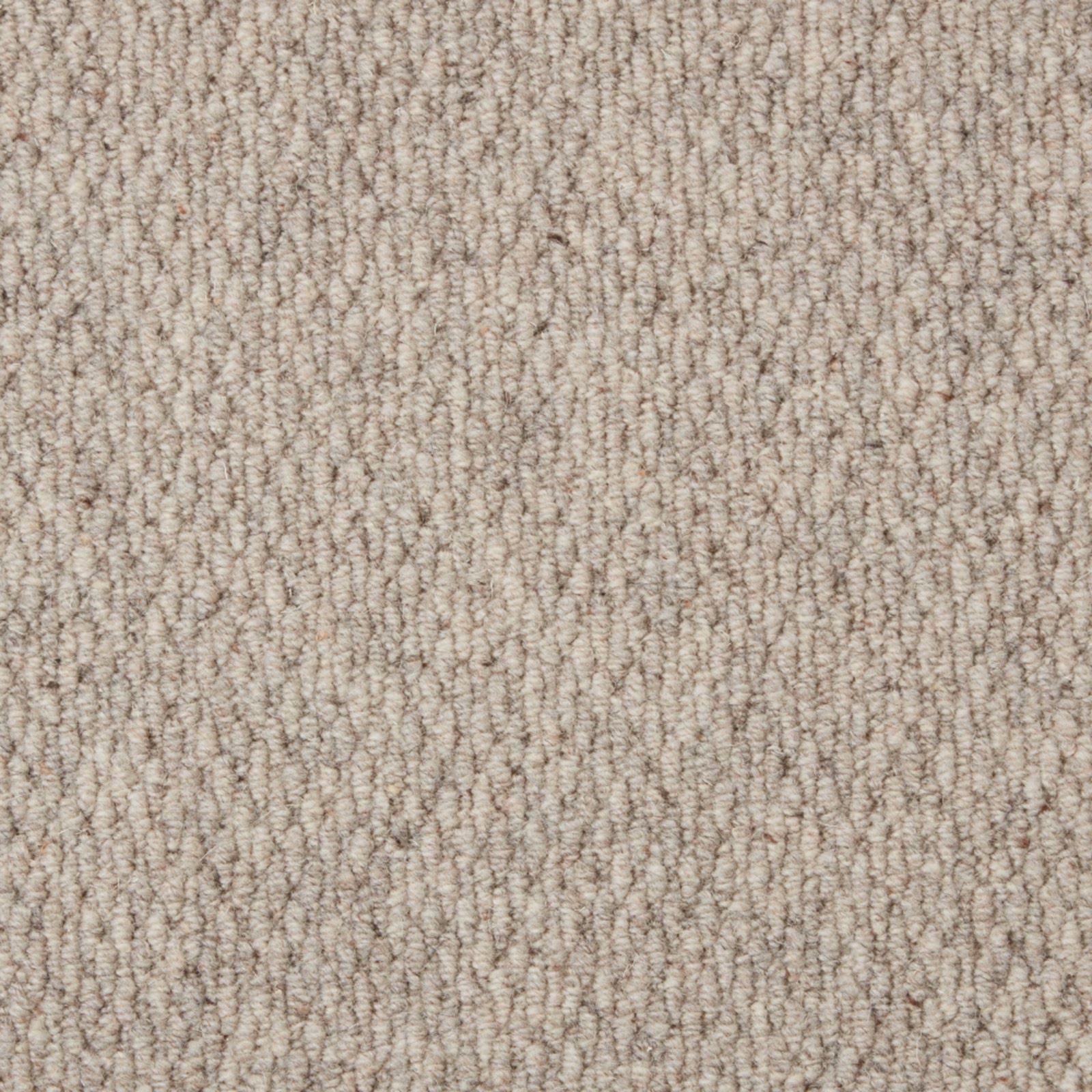 Soft greige Wool Loop carpet with close, irregular rows and a nubby surface