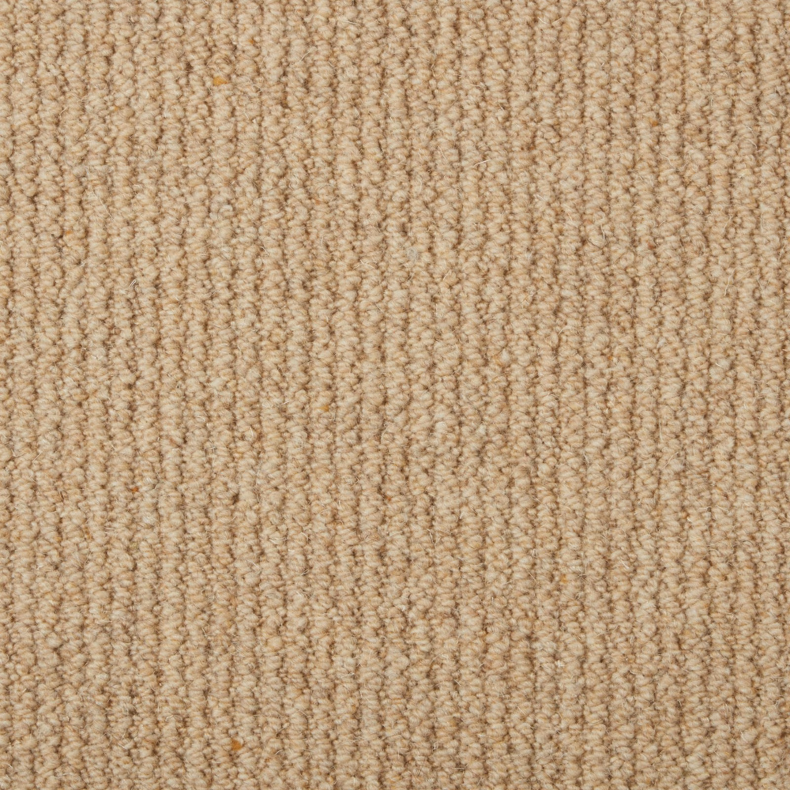Warm sandy beige Wool Loop carpet with tightly ridged loop texture