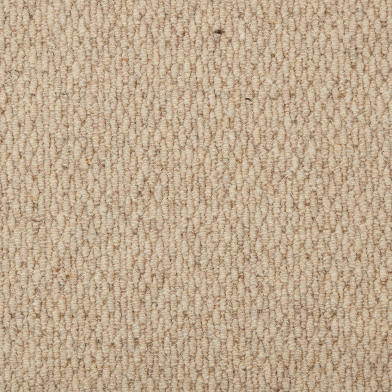 Warm oatmeal-beige wool loop carpet with irregular rows and subtle taupe flecks