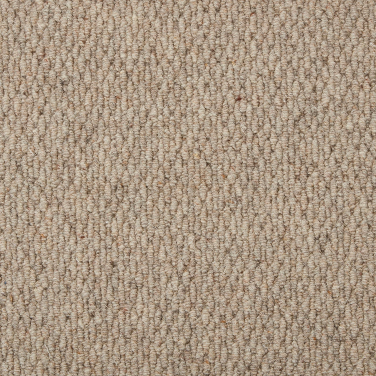Warm taupe Wool Loop carpet showing dense vertical loops and subtle beige flecking