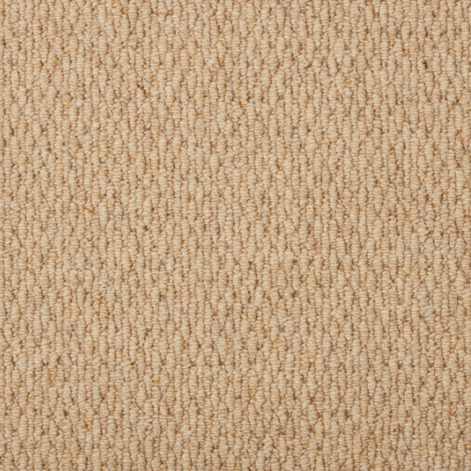 Warm sandy beige wool loops in irregular vertical rows with subtle tan flecking