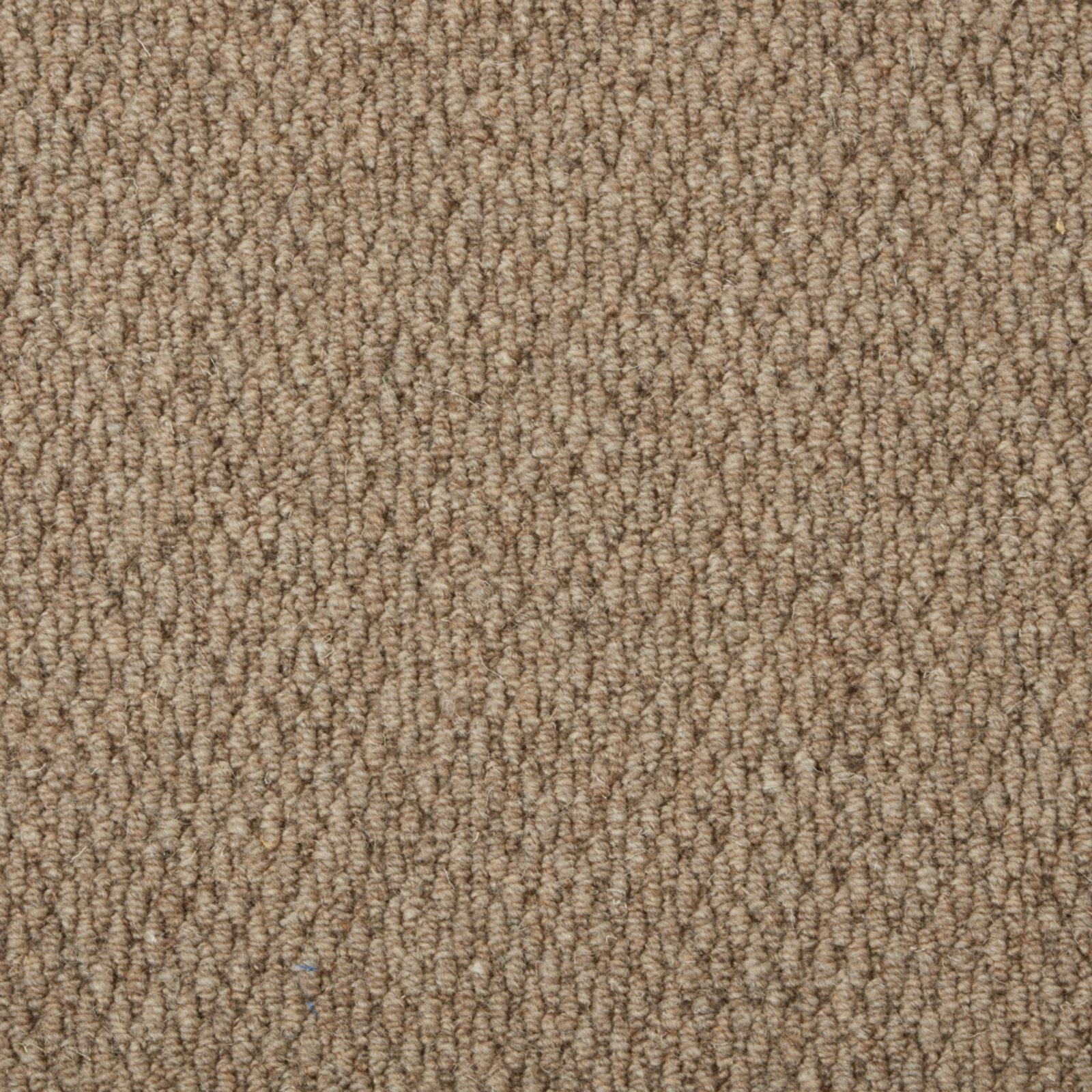 Warm taupe Wool Loop carpet with tightly curled loops and subtle vertical striations