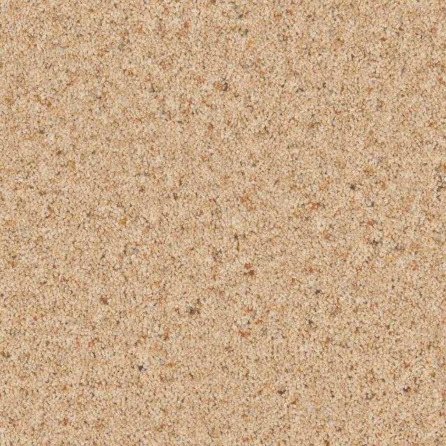 Close-up of warm chamois beige carpet with dense flecked twist texture