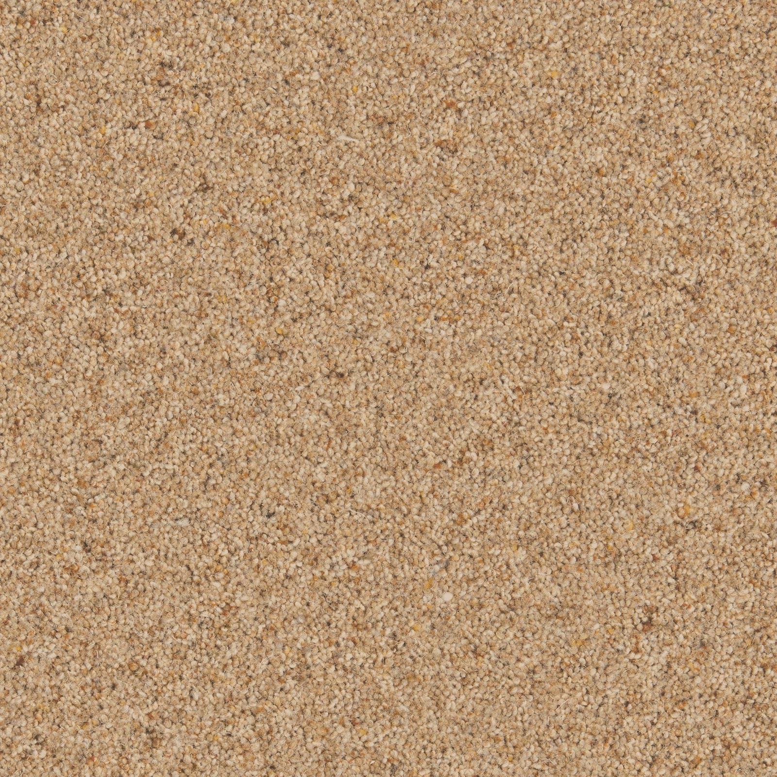 Close-up of warm biscuit-beige looped carpet with cream and tan flecks