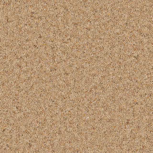 Close-up of warm biscuit-beige looped carpet with cream and tan flecks