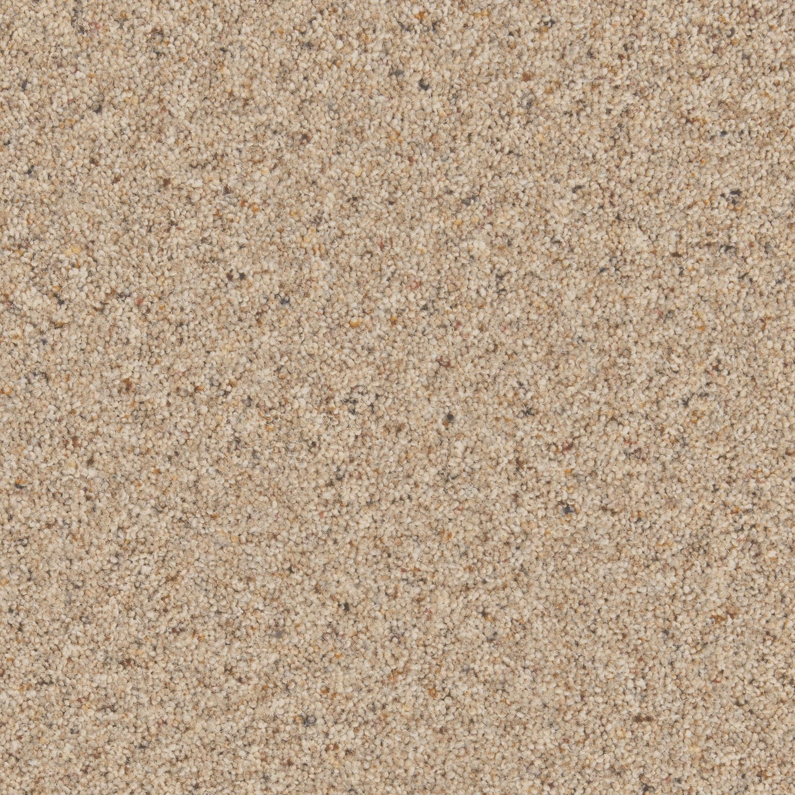 Warm oatmeal beige carpet with a dense nubby twist and subtle dark flecks