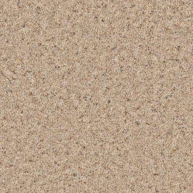 Warm oatmeal beige carpet with a dense nubby twist and subtle dark flecks