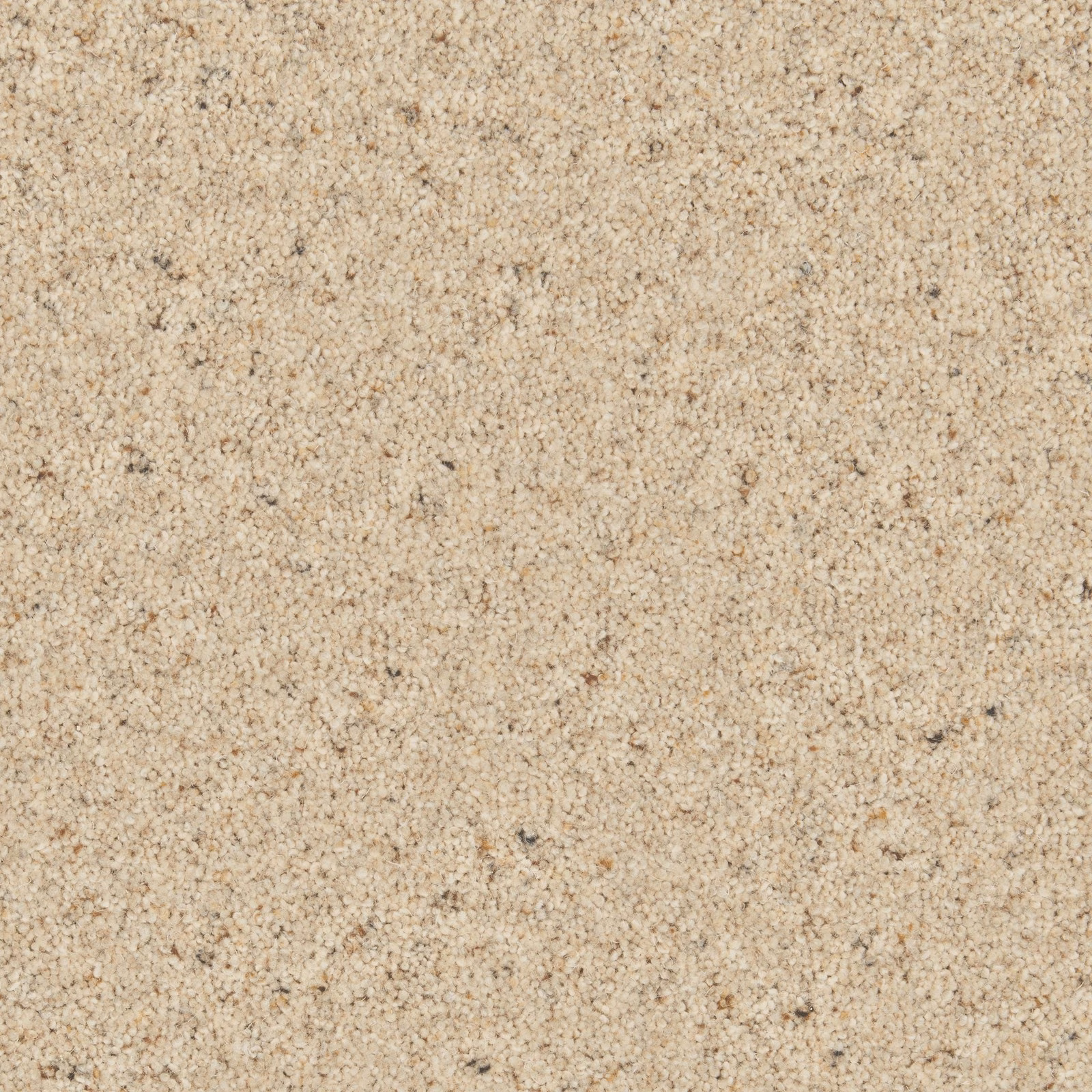 Warm oatmeal-beige carpet with dense twisted loops and scattered darker flecks