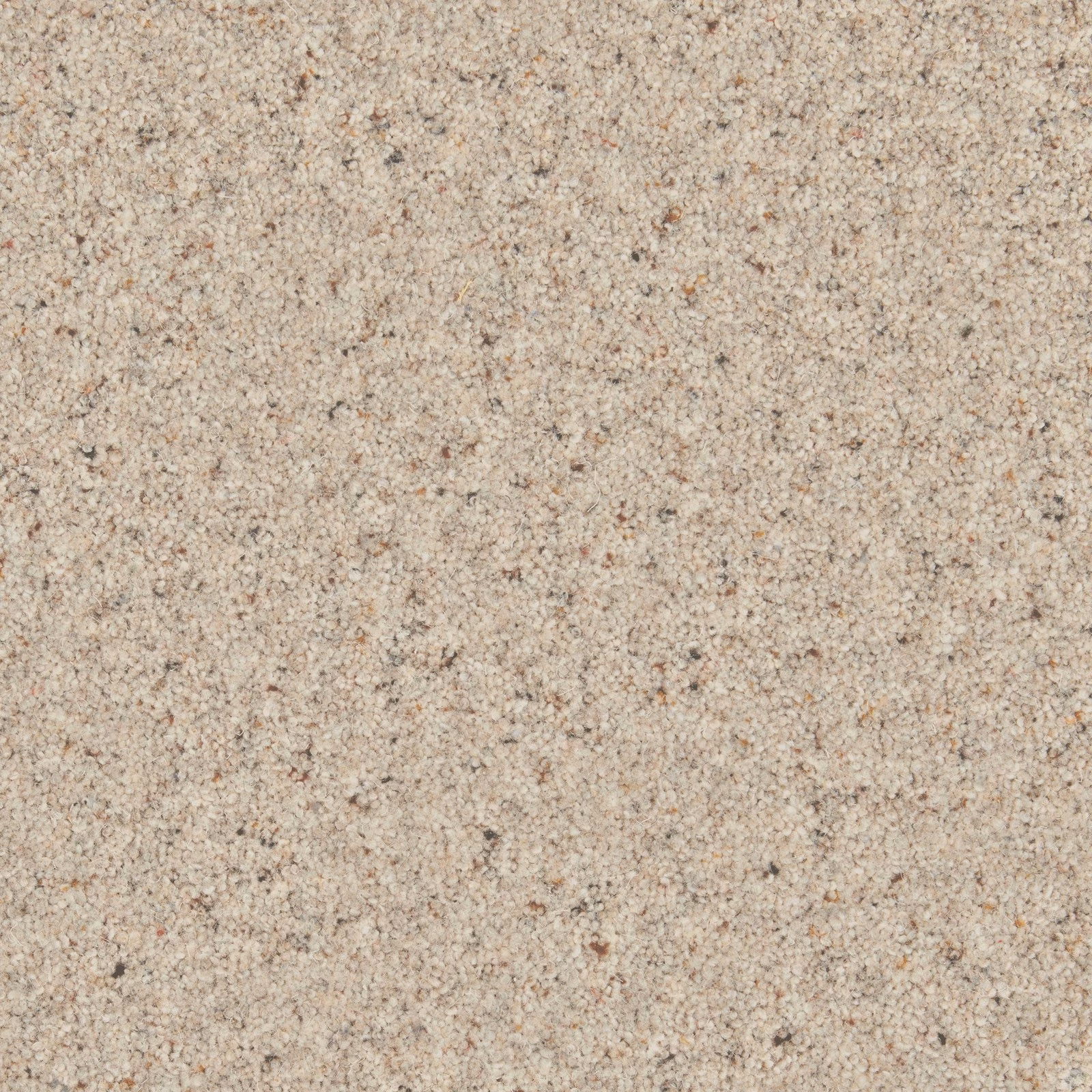 Pale platinum-beige carpet surface with fine sandy flecks and dense twisted texture