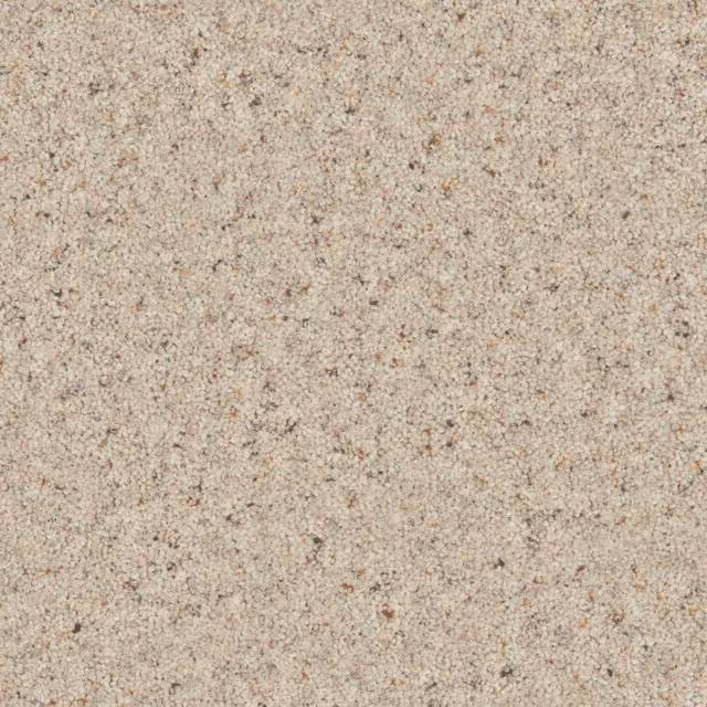 Pale platinum-beige carpet surface with fine sandy flecks and dense twisted texture