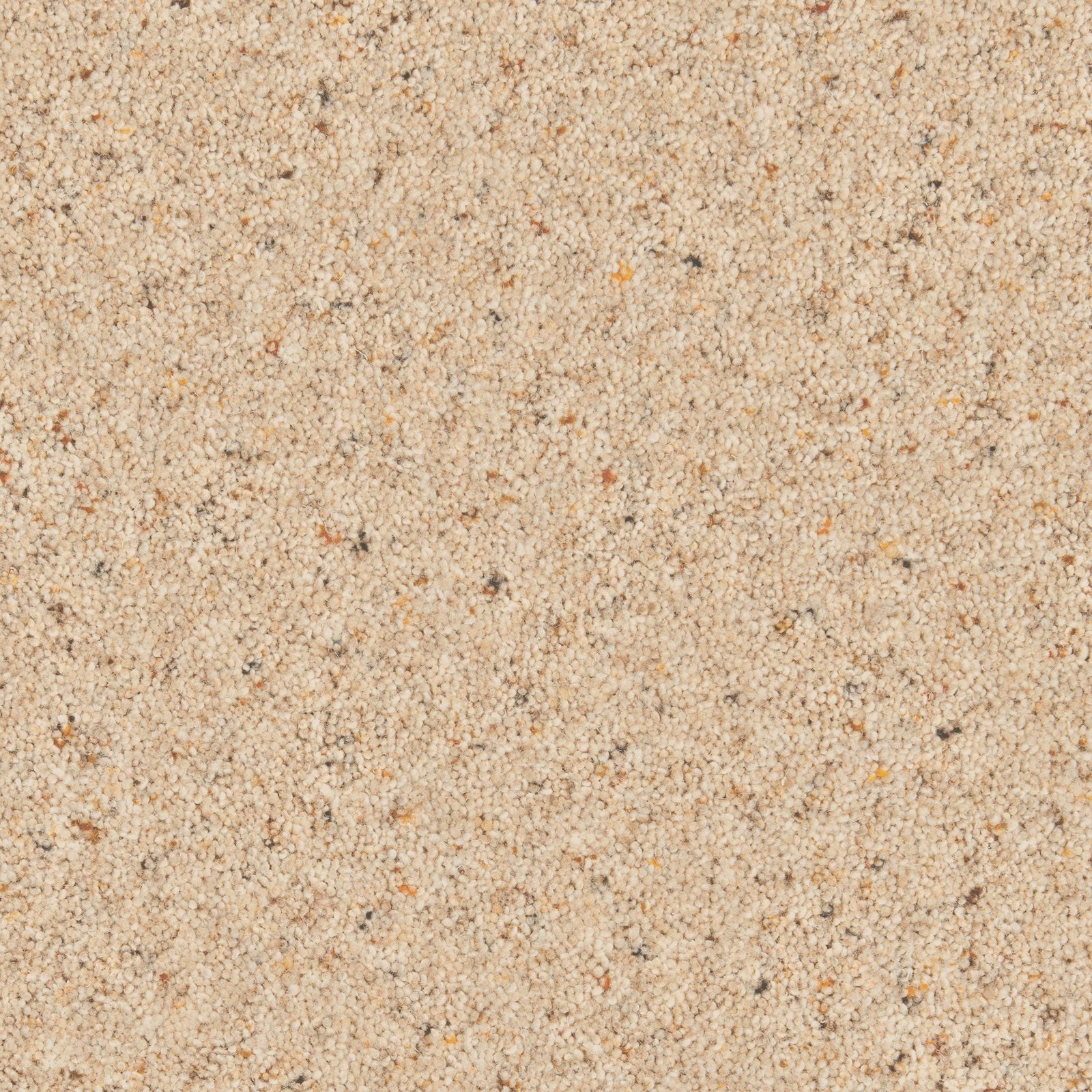 Warm Seed beige carpet with tiny looped wool twists and scattered natural flecks