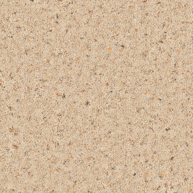 Warm Seed beige carpet with tiny looped wool twists and scattered natural flecks