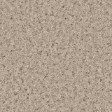Dense greige-taupe Wool Twist surface with pale, charcoal and rust flecking