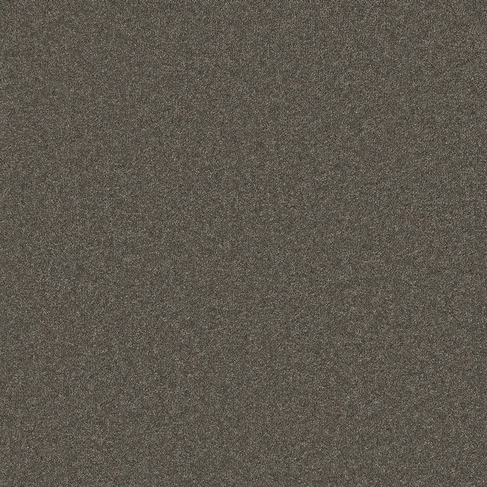 Deep taupe-grey Wool Twist carpet with fine charcoal and brown flecked texture
