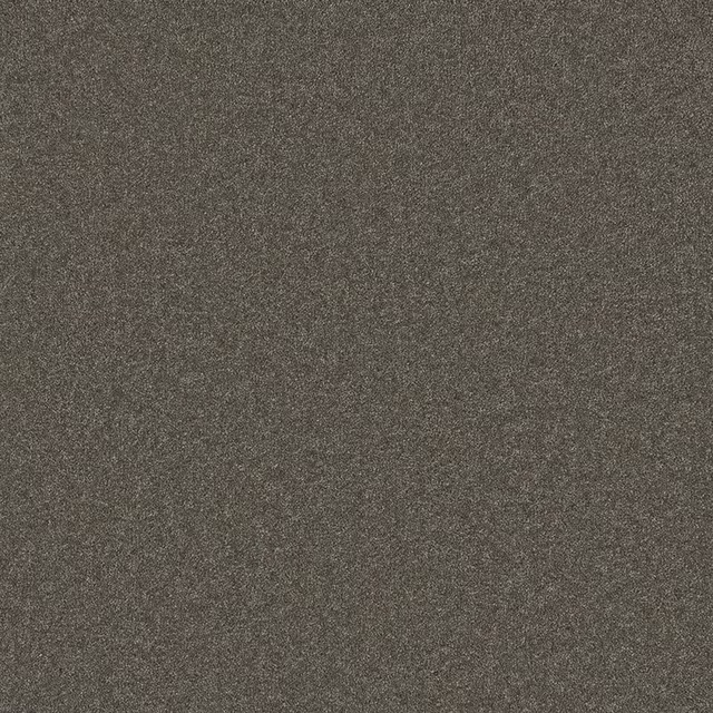 Deep taupe-grey Wool Twist carpet with fine charcoal and brown flecked texture