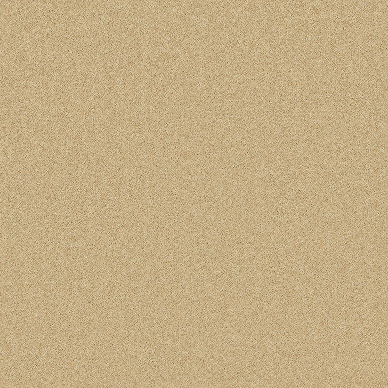 Warm camel carpet with a dense, finely flecked Wool Twist texture