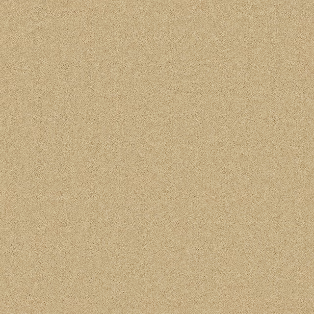 Warm camel carpet with a dense, finely flecked Wool Twist texture