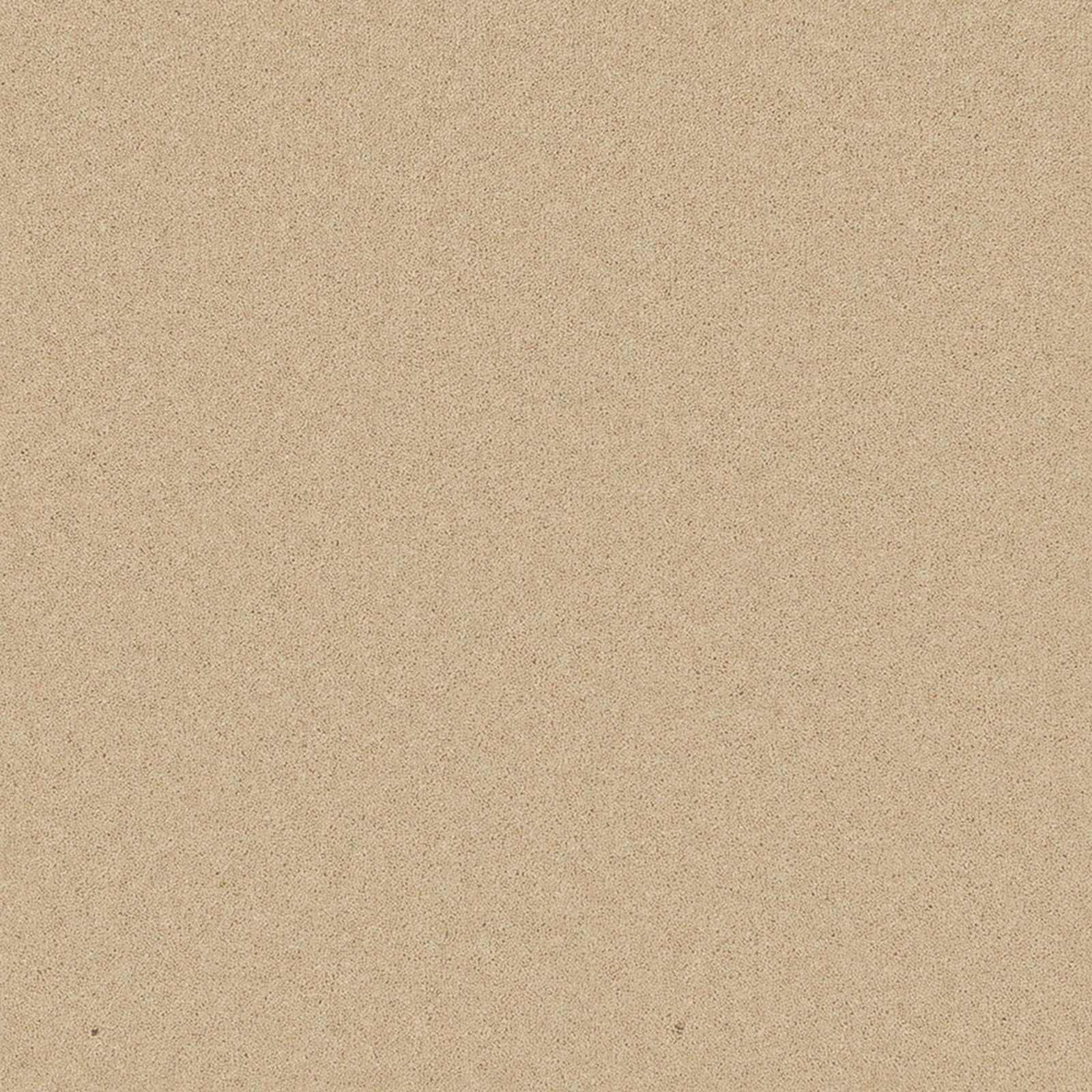 Warm beige carpet swatch showing a fine peppered wool-twist texture