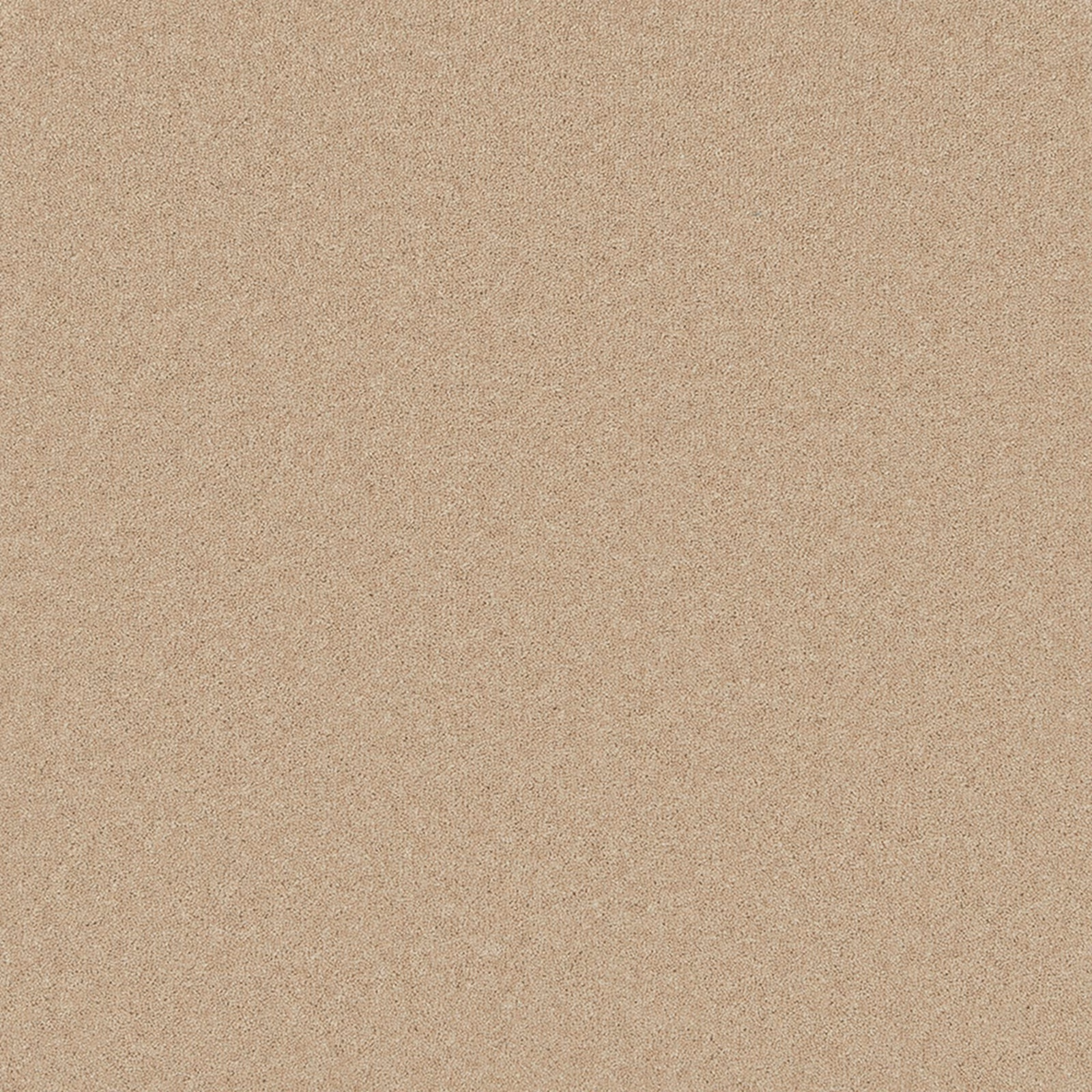 Warm oatmeal-beige Wool Twist carpet with a fine softly flecked texture