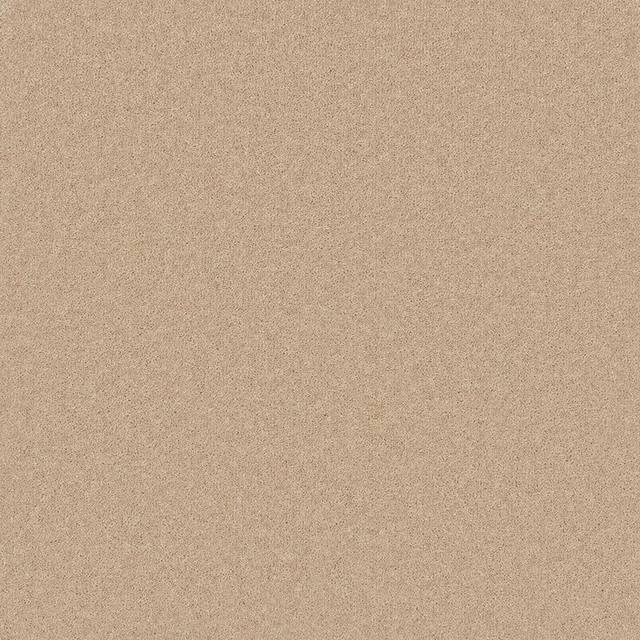 Warm oatmeal-beige Wool Twist carpet with a fine softly flecked texture