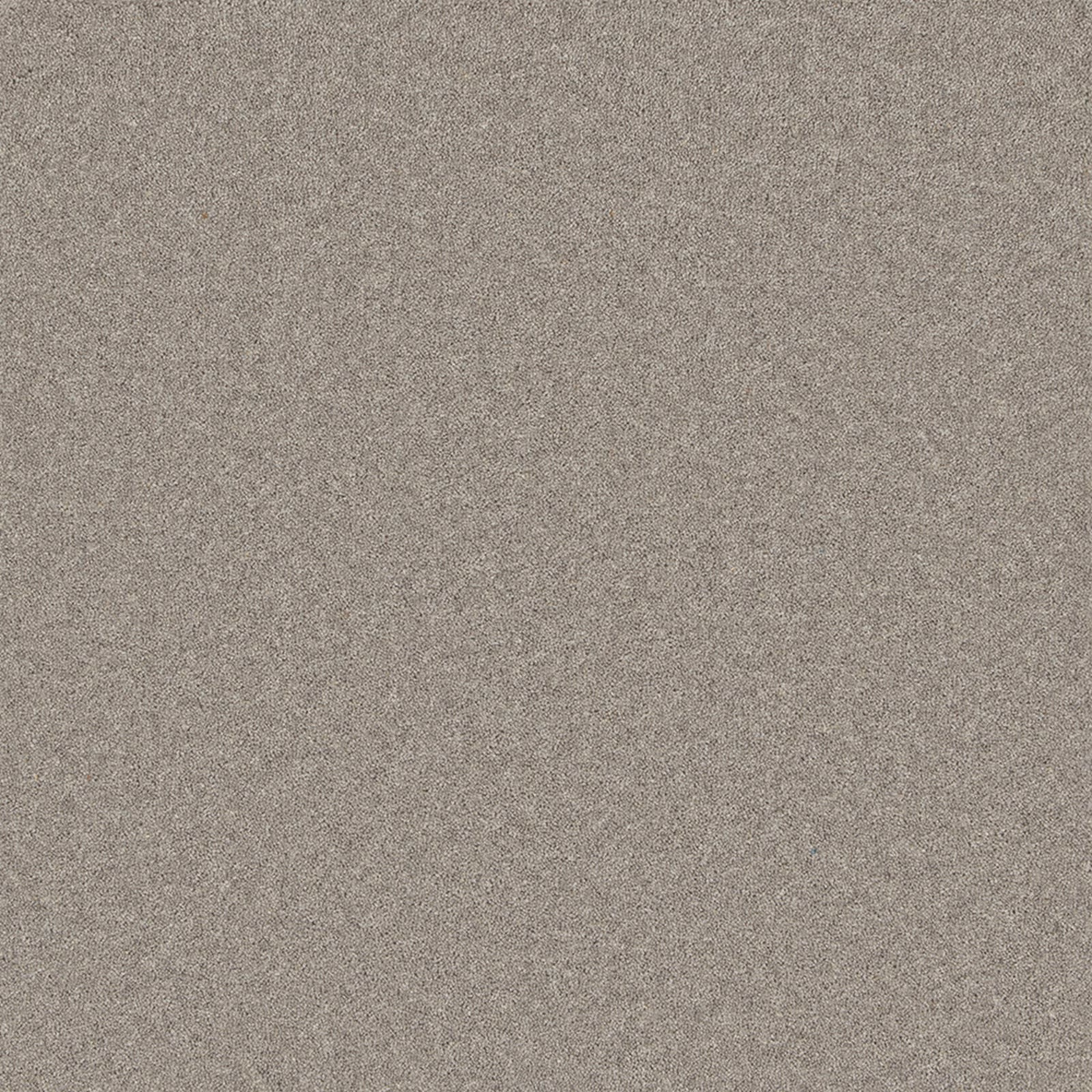 Close-up of Chrome carpet showing a soft grey-taupe, finely flecked wool twist texture