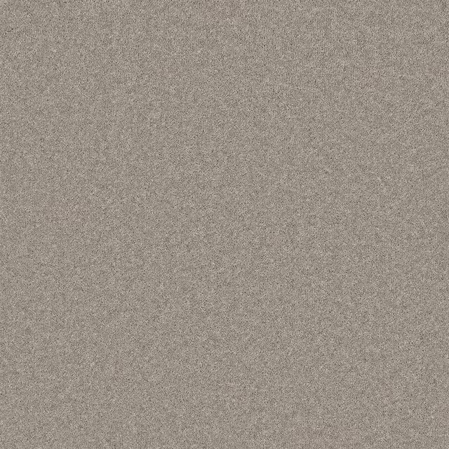 Close-up of Chrome carpet showing a soft grey-taupe, finely flecked wool twist texture