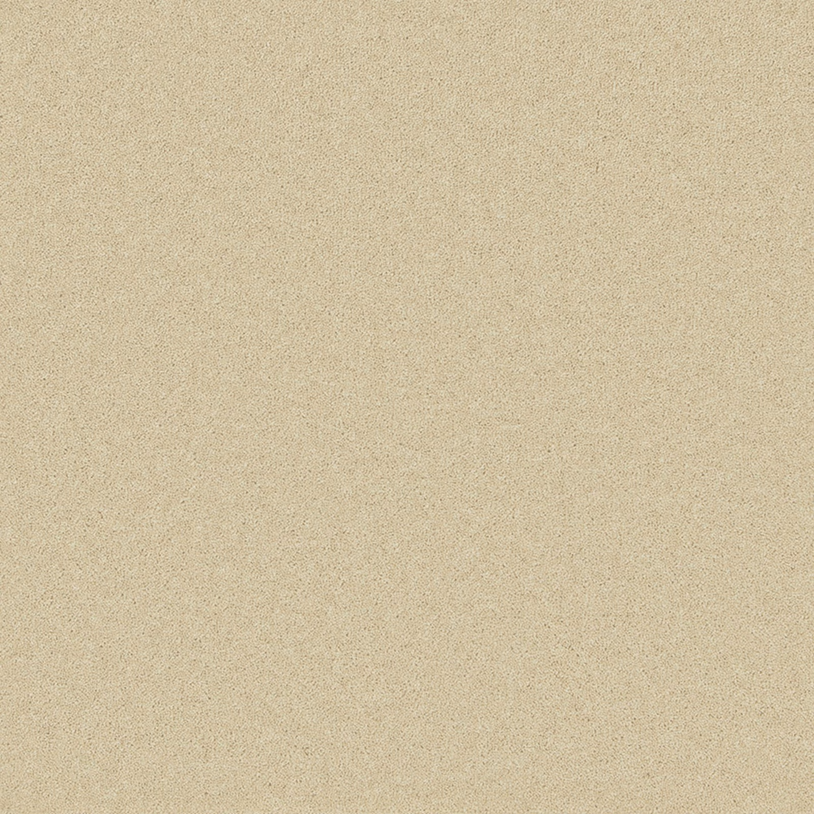 Warm pale beige carpet swatch with fine speckled wool twist texture