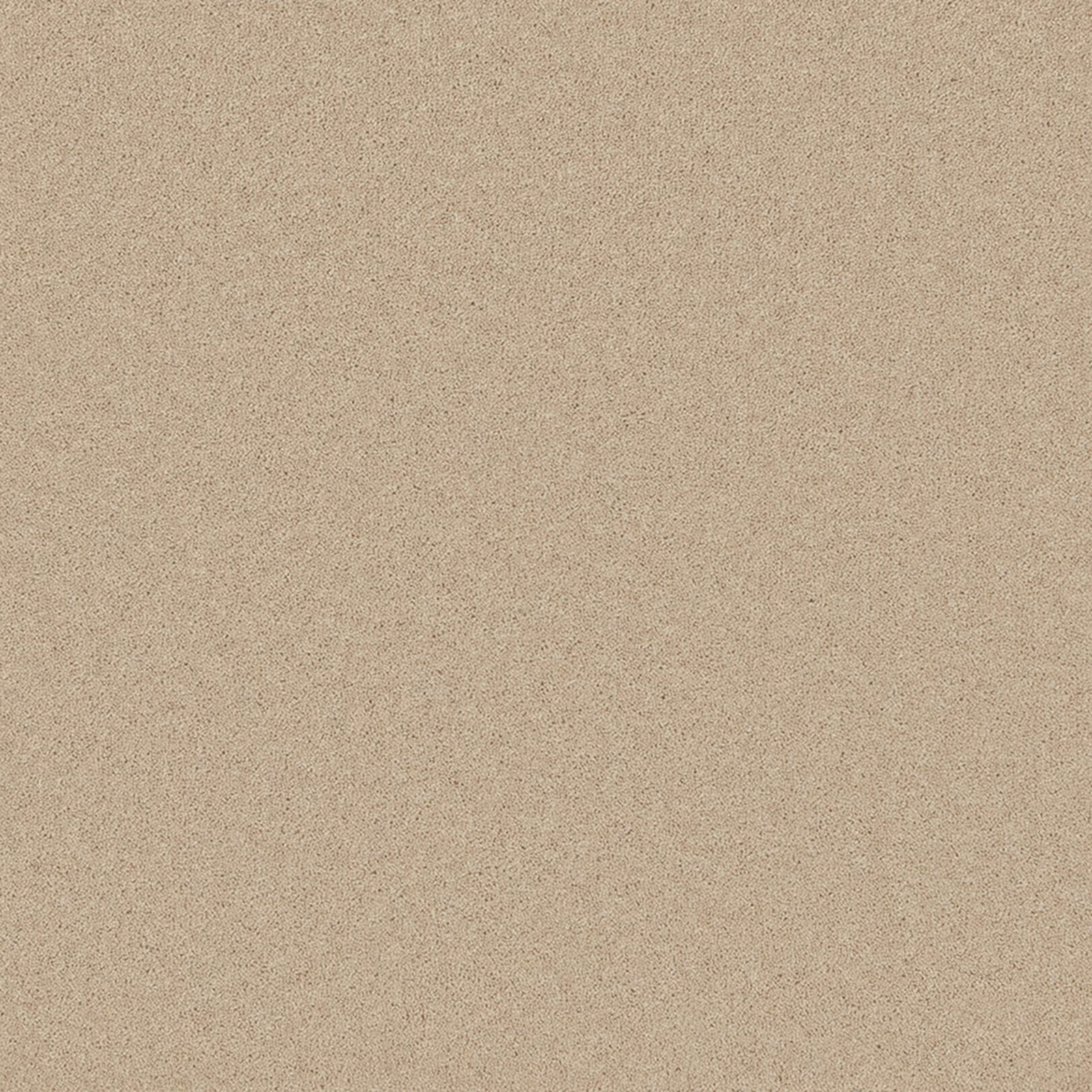Warm taupe-beige carpet with a fine, peppered wool-twist texture