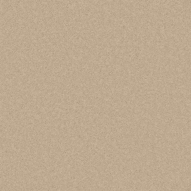 Warm taupe-beige carpet with a fine, peppered wool-twist texture