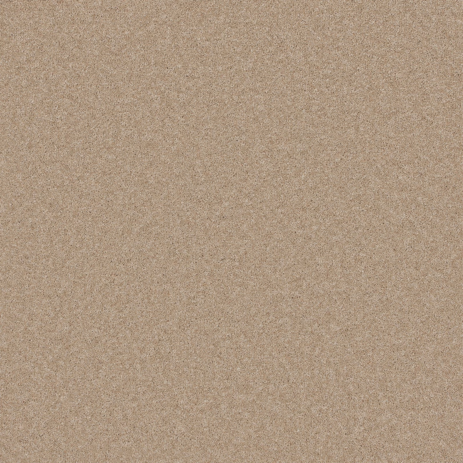 Warm toasted-almond Wool Twist carpet with a fine, softly mottled grain