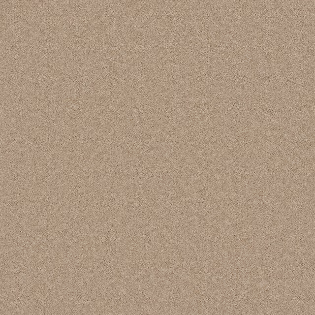 Warm toasted-almond Wool Twist carpet with a fine, softly mottled grain