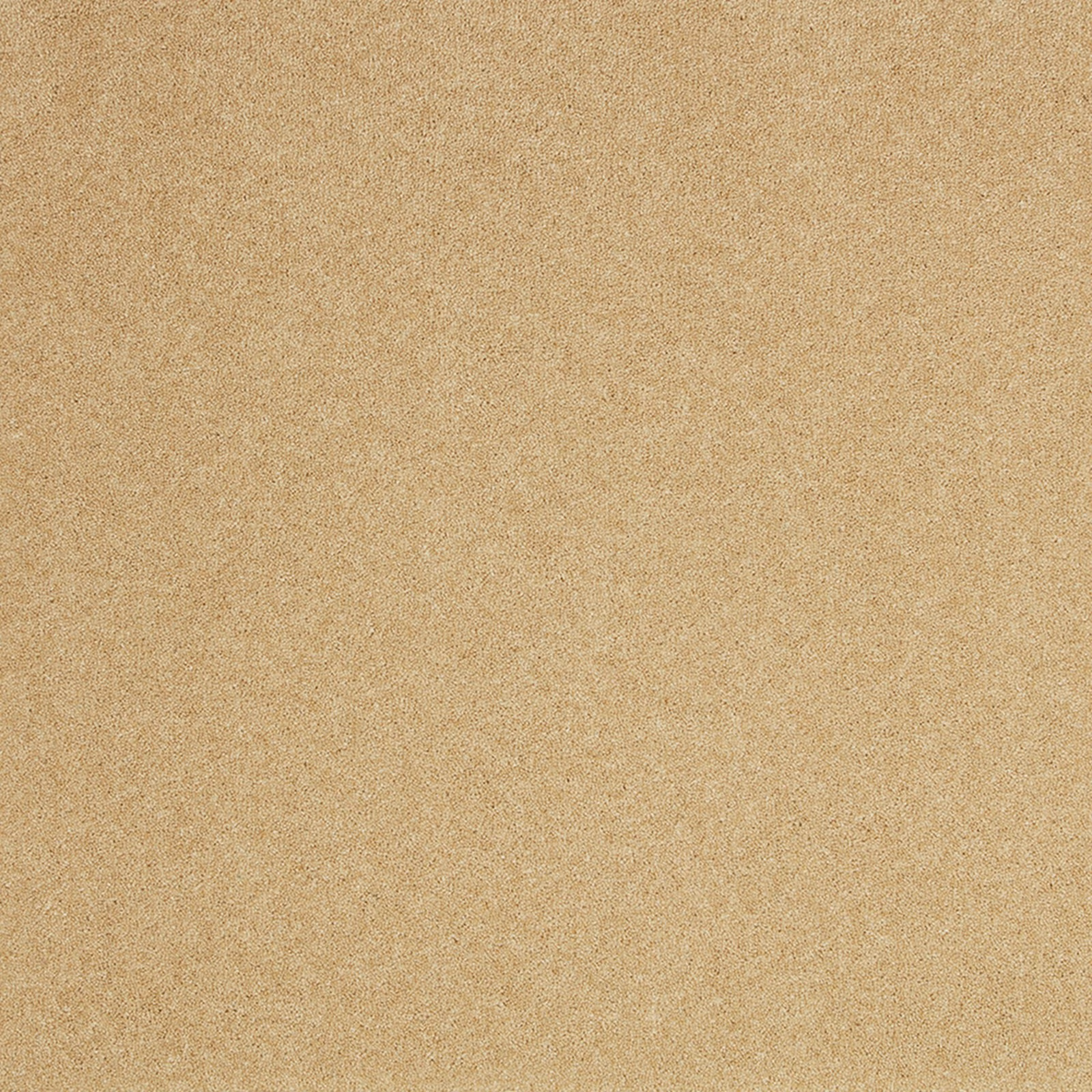 Warm oat-beige carpet swatch with a fine, subtly peppered Wool Twist texture