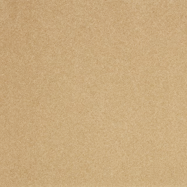 Warm oat-beige carpet swatch with a fine, subtly peppered Wool Twist texture